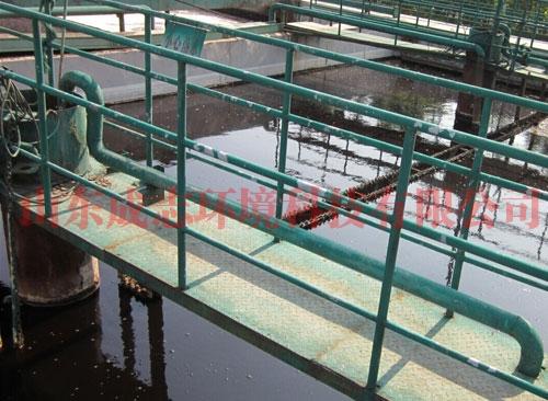 可為用戶提供方案咨詢,工程設(shè)計(jì),技術(shù)服務(wù),設(shè)備制造,安裝調(diào)試及凈水劑